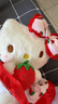 Hello Kitty三丽鸥KT猫毛绒玩偶玩具抱枕女孩娃娃圣诞节礼物礼物送女生日礼物 实拍图