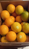 褚橙 云冠橙云南冰糖橙 特级 净重10斤 单果约165g  水果源头直发 实拍图