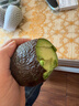 京鲜生 智利进口牛油果 大果4粒装 单果130g+（非即食） 生鲜水果 实拍图