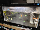 米家（MIJIA）小米米家智能生态鱼缸+画法几何配套加热棒 实拍图