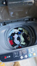 志高（CHIGO）全自动洗衣机 波轮宿舍迷你小型家用 洗烘一体 智能洗脱一体机 大容量 风干 【6.5Kg实惠款-智能风干-强力去污】 实拍图
