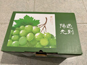 京鲜生 精品阳光玫瑰葡提 3-3.5斤礼盒装 2-3串 单果13g起 生鲜水果 实拍图