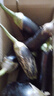 山东农家绿把紫皮长茄现摘现发新鲜嫩茄蔬菜生鲜 现摘新鲜茄子 3斤 净重 实拍图