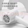 飞科博锐电吹风机家用大功率吹风筒恒温护发小巧便捷三档冷热风电吹风 简白PH1621 实拍图