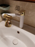梵玖全铜洗脸盆水龙头卫生间冷热万向机械臂洗手池面盆招财猫水龙头 圆形【全铜体洗头神器】白金色 实拍图