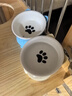 憨憨乐园猫碗陶瓷猫粮双碗斜口狗碗狗盆狗粮宠物幼猫咪吃饭食盆喝水喂食 实拍图