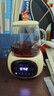 小熊（Bear）迷你养生壶小型一人煮茶器煮花茶壶 办公室小型恒温养生杯 0.4L全玻璃杯体电热杯垫电炖杯送女友 0.4L YSH-Q04E5 实拍图