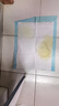 宠德多宠物尿垫狗狗尿片猫尿垫猫尿布尿不湿隔尿垫加厚防漏垫子猫狗通用 加厚款S小型100片33*45cm 实拍图