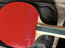 京东京造 雨燕一星乒乓球拍双拍2只装横直对拍训练套装双面反胶1星 横直板 实拍图