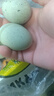 正宗松花蛋50g-59g皮蛋20枚装无铅工艺鸭蛋变蛋散养生鲜超市批发 8枚 实拍图