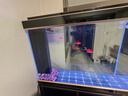森森（SUNSUN）大型鱼缸底过滤水族箱客厅家用落地玻璃生态金鱼缸 超白隔断屏风款 1米长35cm宽（黑白可选） 实拍图