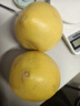 正宗2025年新品黄金葡萄柚爆汁切块吃新鲜应季水果现货 带箱1斤装 实拍图