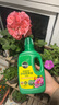 美乐棵植物通用营养液磷酸二氢钾花肥肥料绿萝发财树植物营养液500ML 实拍图