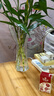 呈爱透明玻璃花瓶简约加高贵竹百合水培绿萝植物富花瓶客厅插花摆件 加高30cm六角（竹叶图案） 高30厘米 实拍图