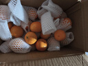 京鲜生 广西砂糖橘 净重4.5斤 单果35-45mm  生鲜水果 源头直发包邮 实拍图