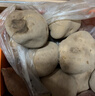 甘肃定西土豆马铃薯2025年新挖粉糯沙面高山洋芋黄心黄皮定西特产 净重5斤大果 每颗6-8两左右 实拍图