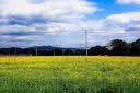 Canon佳能r50入门级微单反 半画幅数码相机 4k高清美颜小巧便携套机 R50单机身白+RF50 F1.8小痰盂 【人像首选】 官方标配【京东仓发货 快至次日达~】 实拍图