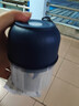绞肉机小型打蒜器家用绞蒜切蒜器多功能辅食料理机电动蒜泥神器蒜蓉机自动切菜机压蒜器 蓝色-升级大电机 0.26L （塑料杯） 实拍图