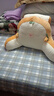 京冇床头靠枕护腰靠垫床上靠背垫腰靠办公室宿舍软包床靠腰垫沙发抱枕 实拍图