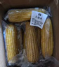 京鲜生东北白糯玉米330g*8根 甜黏玉米低脂早餐代餐粗粮真空装 源头直发 实拍图