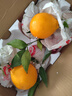 生活＆好管家 四川春见耙耙柑新鲜水果应季橘子现摘孕妇水果整箱桔子橘子 优选级市场果 4.5-5斤【单果70-75mm】净重4.5斤 实拍图