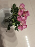 云南鲜花批发品质玫瑰百合水养鲜切花送女友水养鲜花源头直发 紫玫瑰-10支（花苞小不定品种） 【任选2件—不收运費】 实拍图