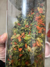 川珍脱水蔬菜干380g混合胡萝卜高丽菜万年青泡面伴侣方便即食配菜干菜 实拍图