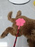 波奇多 宠物爱心拍 大号(62cm)打狗棍训犬皮鞭子马犬训练猫轻便训狗神器 实拍图