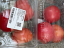 番茄约500g 实拍图