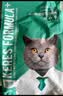 凯锐思英短猫粮专用蓝猫幼猫成猫深海鱼鱼肉猫食天然粮 【升级款|鲜肉双拼】英短4斤 实拍图