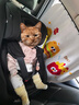 巧儿宜（JOIE）儿童安全座椅360度旋转i-Size0-4岁宝宝椅陀螺勇士gti精致黑C2116 实拍图