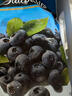 SOUTHERN SUN 智利进口冷冻蓝莓 1袋 1.36kg 1.36kg 实拍图