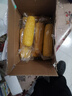 京鲜生东北黄玉米棒200g×8棒25年新玉米 真空黏玉米 多种包装 源头直发 实拍图