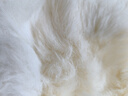 羊皮褥子皮毛一体加厚整张绵羊长毛学生宿舍单双人防潮保暖床褥冬 绵羊毛（原色） 100x200cm 实拍图