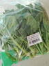京鲜生 新鲜芥蓝 芥兰 湖南出品  600g 简装 新鲜蔬菜  实拍图