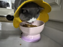 乐优派猫碗陶瓷狗碗猫食盆狗盆宠物碗猫粮碗高脚防打翻猫咪用品 渐变蓝 实拍图