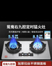 樱花燃气灶双灶家用天然气液化气灶具嵌入式猛火灶台式煤气灶大火力 8.5kw不锈钢大面板鸳鸯定时 天然气 实拍图