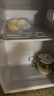 华宝小冰箱小型家用出租房用冷藏冷冻两用一级能效节能省电迷你宿舍寝室办公室二门电冰箱 【店长推荐】48L银色【三天不到一度电】 实拍图