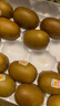 佳沛（zespri）新西兰  阳光金奇异果18粒礼盒优选果单果约101-124g 猕猴桃水果 实拍图