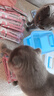 馋小汪猫咪零食猫条妙鲜湿粮包猫零食成猫幼猫营养鱼油猫罐头整箱批发 90支收纳盒装 鸡肉 实拍图