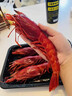 冰凌橙夏 刺身牡丹虾刺身红魔虾原箱进口天然即食甜虾刺身料理高端食材 红魔虾 350g(净重)  4只虾皇款 实拍图