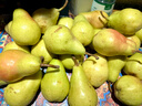 亨迅烟台太婆梨山东梨子啤梨香蕉梨大头梨茄梨软梨新鲜水果生鲜 9斤优选果 净重8.5斤 香甜软糯|核心产区直发|放软后吃 实拍图