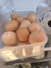 九華粮品 A+级有机富硒土鸡蛋20枚净重1.68斤 散养草鸡蛋鲜鸡蛋  礼盒 实拍图