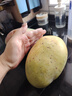 集南鲜 凯特芒果 四川攀枝花芒果当季大青皮黄皮大芒果新鲜水果整箱 特级果王 单果600g起  净重4.5斤 实拍图
