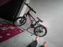 凤凰（Phoenix）儿童自行车山地车男女学生脚踏车6-15岁童车 霸道 黑红色 20寸 实拍图