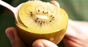 佳沛（zespri）新西兰  阳光金奇异果10粒礼盒巨大果单果约144-175g 水果 猕猴桃 实拍图