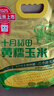 十月稻田 黄甜糯玉米 8根 3.52斤 真空包装 东北粘玉米棒 低脂早餐 实拍图