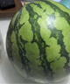 京鲜生 无籽麒麟瓜西瓜 1粒装 单果5-6斤 生鲜水果源头直发包邮 实拍图