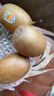 佳沛（zespri）新西兰  阳光金奇异果16粒礼盒经典果单果约 77-103g 水果 猕猴桃 实拍图