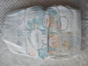 帮宝适超薄透气清新帮透氧Pro婴儿纸尿裤尿不湿尿片尿布XL38 实拍图